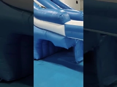 Коммерческая открытая гигантская надувная водная горка осьминог мультфильм надувная водная горка