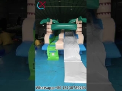 Коммерческие надувные горки пальмовые надувные горки для сухой воды на открытом воздухе