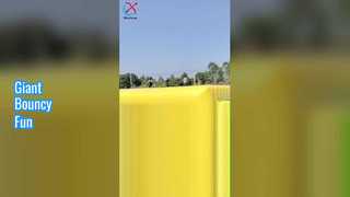 Развлечение на гигантском надувном коврике